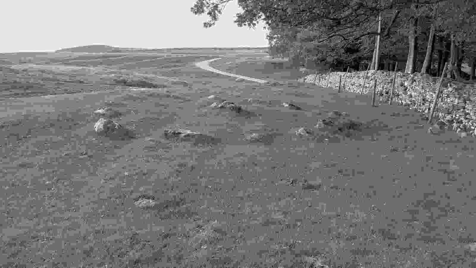 20220825_kalmott_cairn_circle1