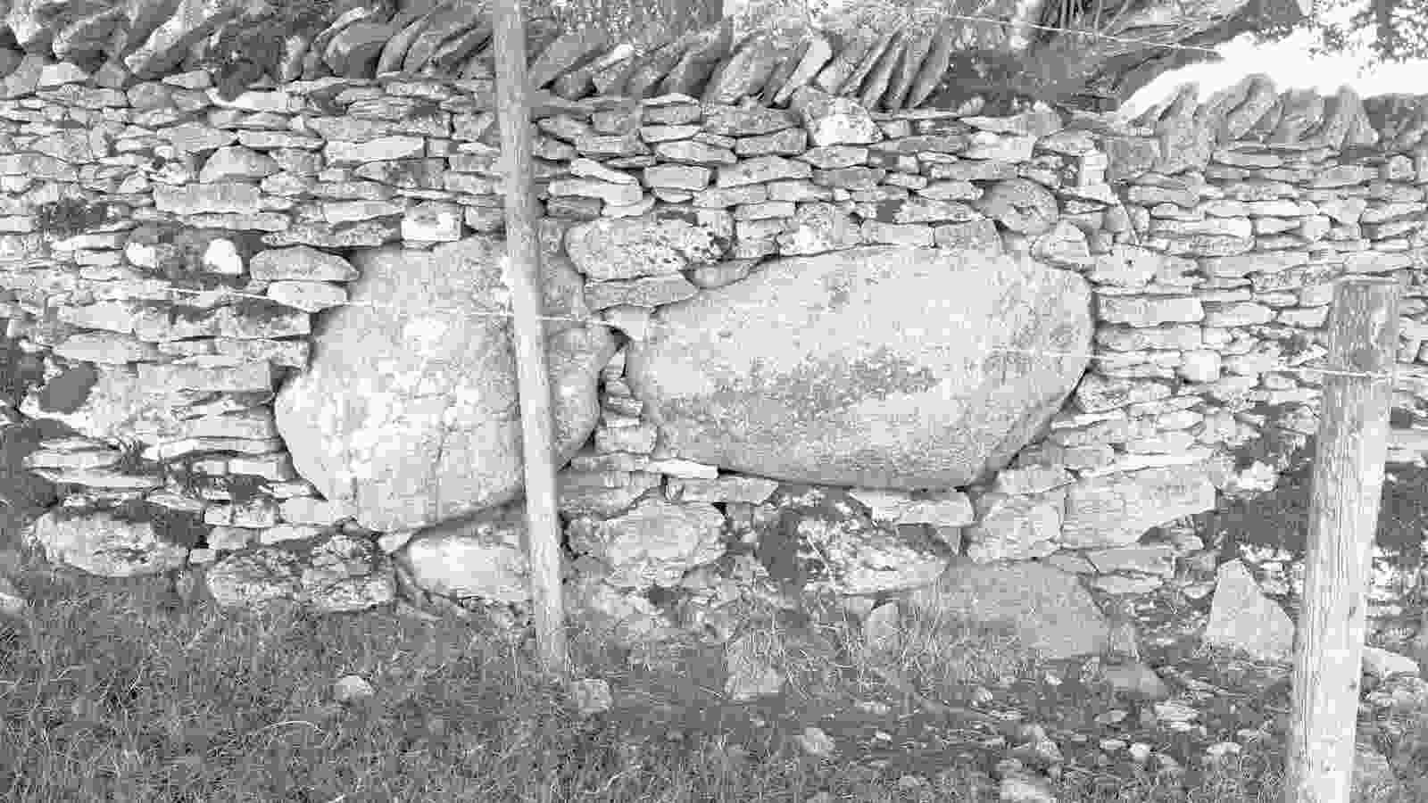 20220825_kalmott_cairn_circle4