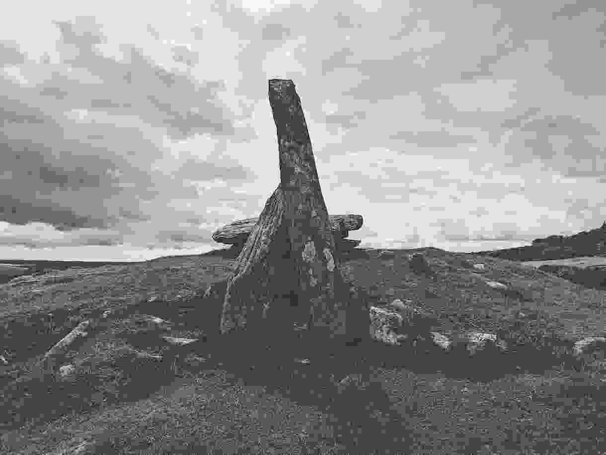 IMG_20230826_170044_389