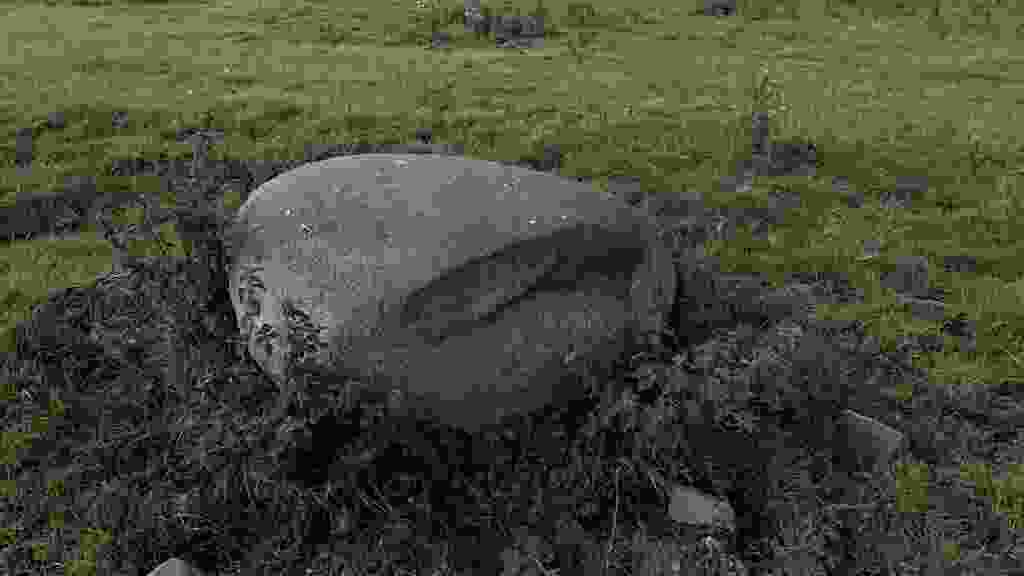 lento_orl_colour_standard_asus_ai2302_1693323009