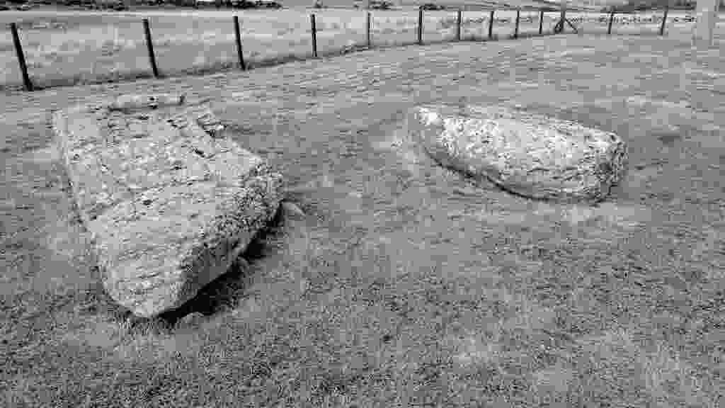 lento_orl_legacy_mono_alpha_asus_ai2302_1693318930