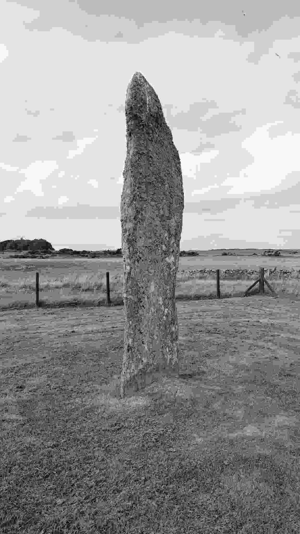 lento_orl_legacy_mono_alpha_asus_ai2302_1693318948