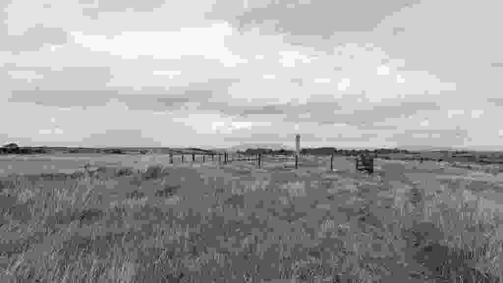 lento_orl_legacy_mono_alpha_asus_ai2302_1693319095