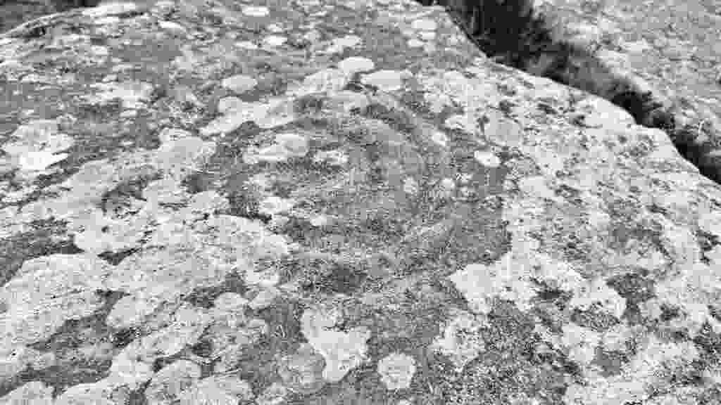 lento_orl_legacy_mono_alpha_asus_ai2302_1693319809