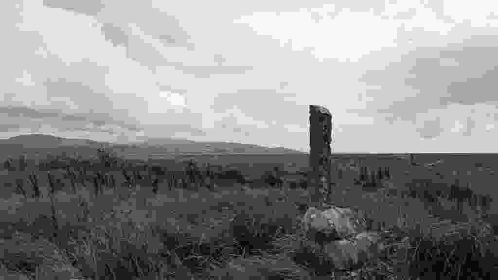 lento_orl_legacy_mono_alpha_asus_ai2302_1693482676