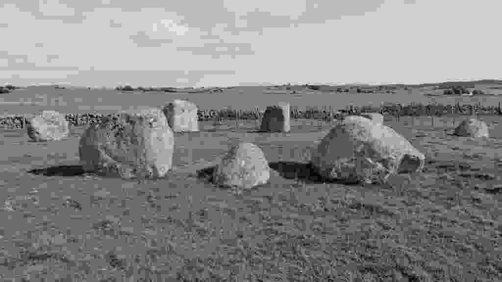 lento_orl_mono_crisp_asus_ai2302_1693322305