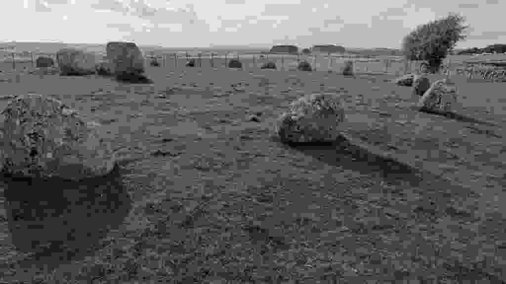 lento_orl_mono_crisp_asus_ai2302_1693322355