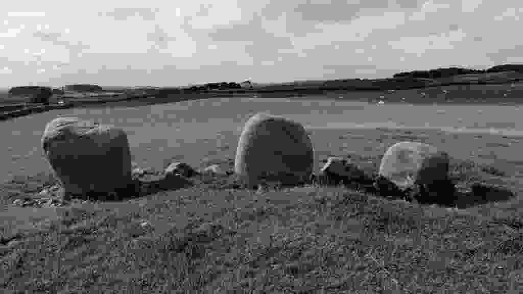 lento_orl_mono_crisp_asus_ai2302_1693322587