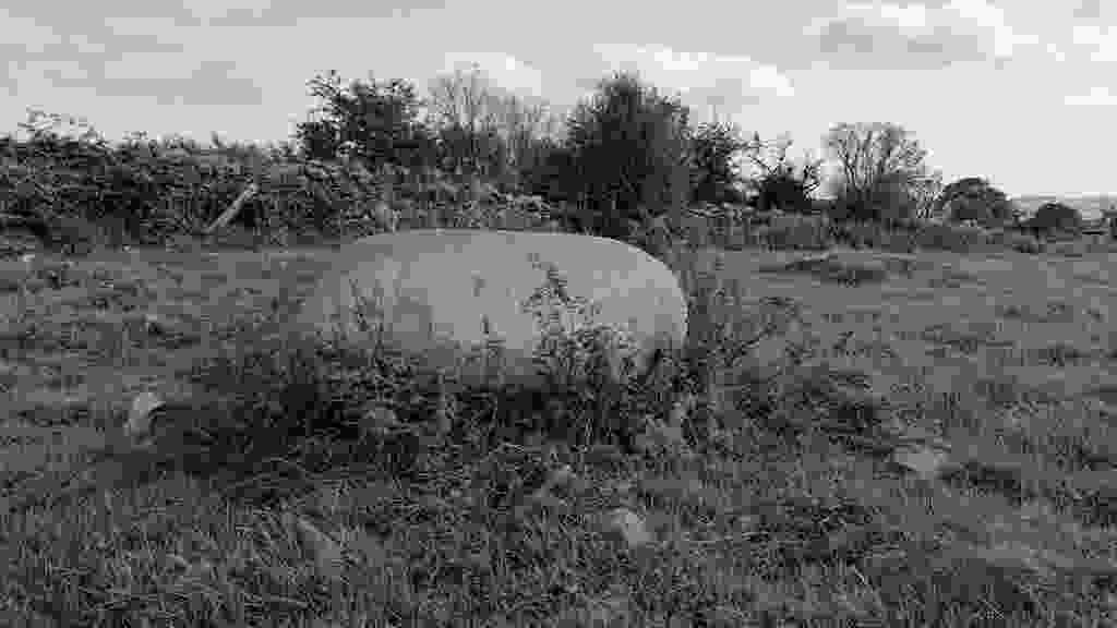 lento_orl_mono_crisp_asus_ai2302_1693323034