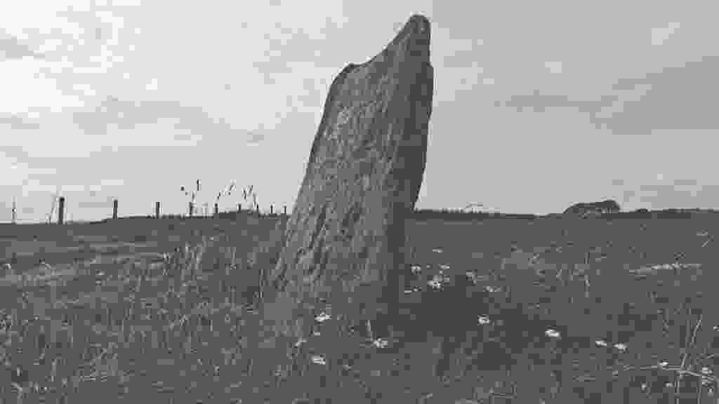 lento_orl_mono_standard_asus_ai2302_1693320846