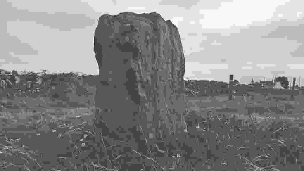 lento_orl_mono_standard_asus_ai2302_1693320857