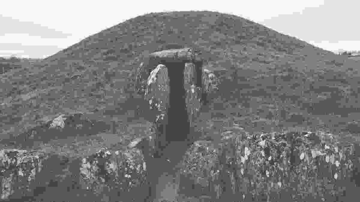 20240216_bryn_celli_ddu_lento_orl_mono_standard_asus_ai2302_1708080666