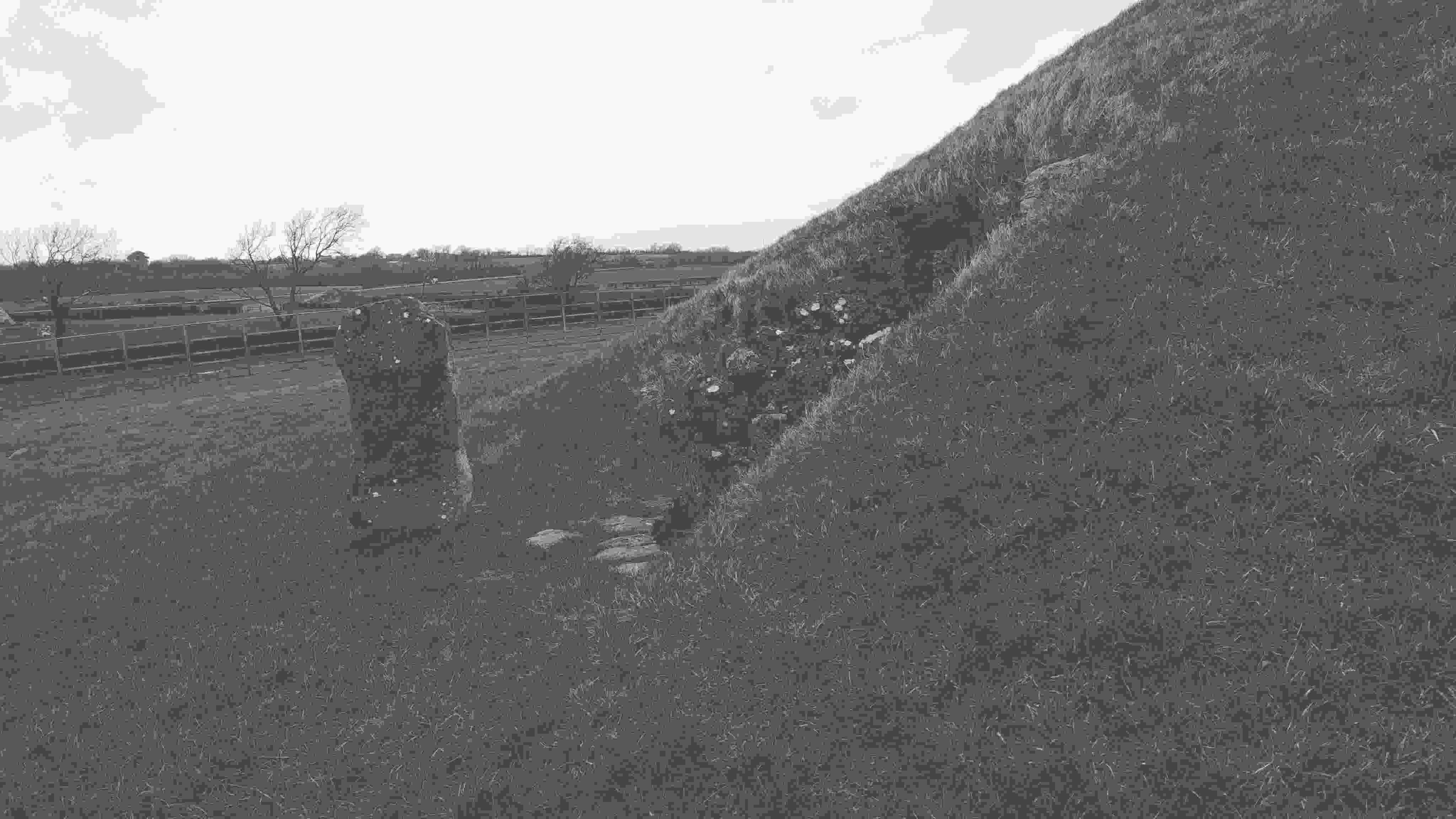 20240216_bryn_celli_ddu_lento_orl_mono_standard_asus_ai2302_1708081105