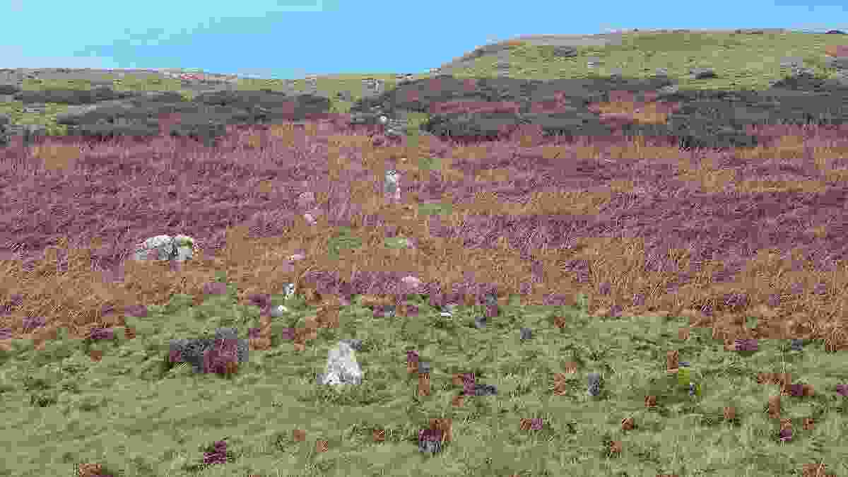 20240218_llandudno_P_20240218_114350