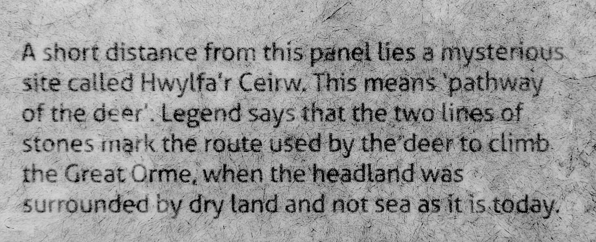 20240218_llandudno_info_panel