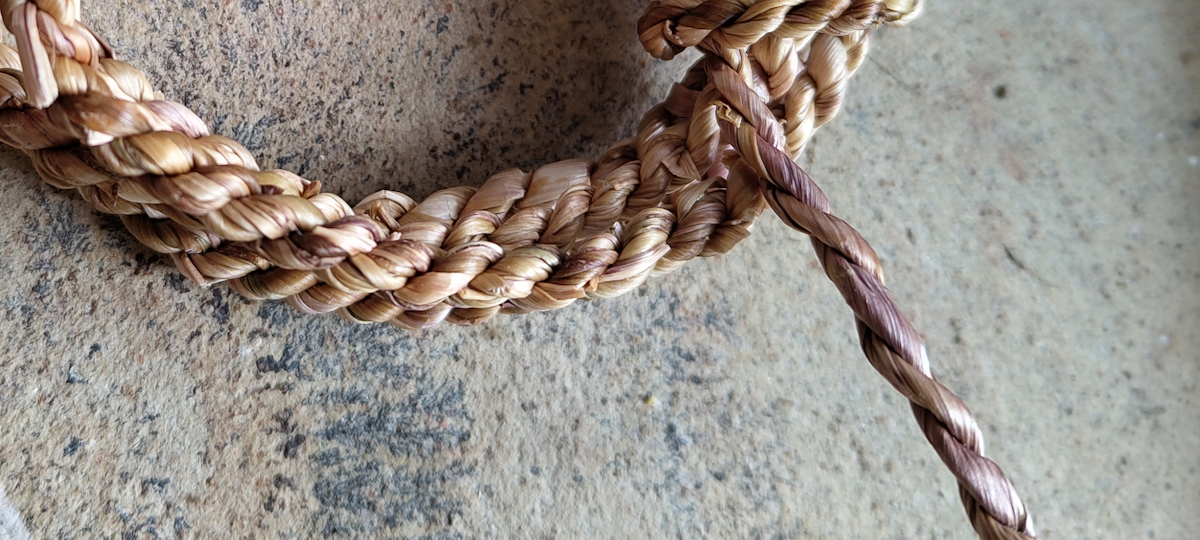 dandelion_cordage
