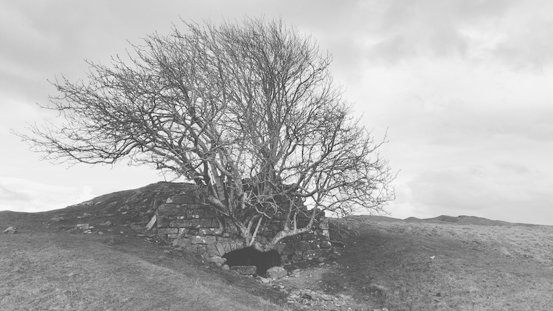 20240329_moor_divock_lime_kiln_1_lento_orl_mono_standard