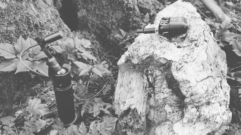 20240331_wood_at_chapel_yat4