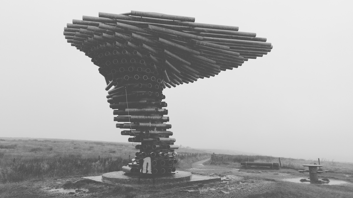 20240915_singing_ringing_tree_002