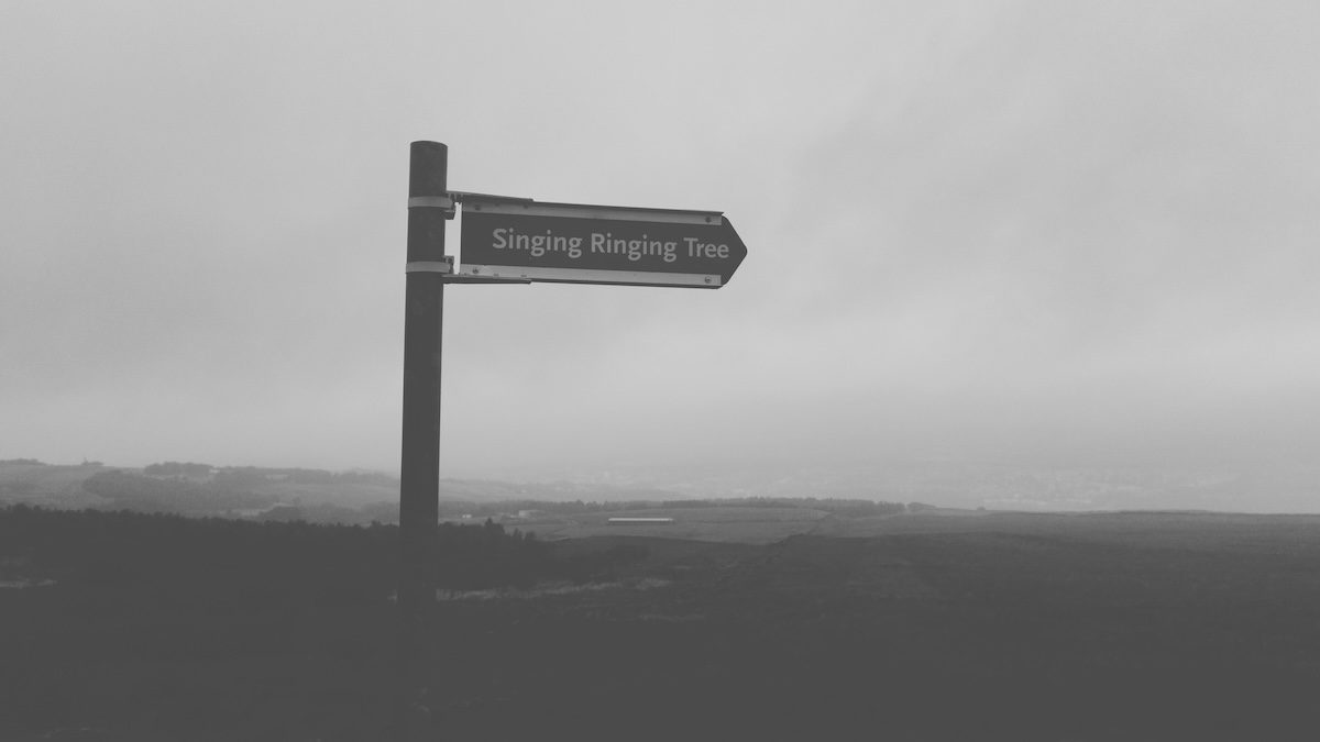 20240915_singing_ringing_tree_004