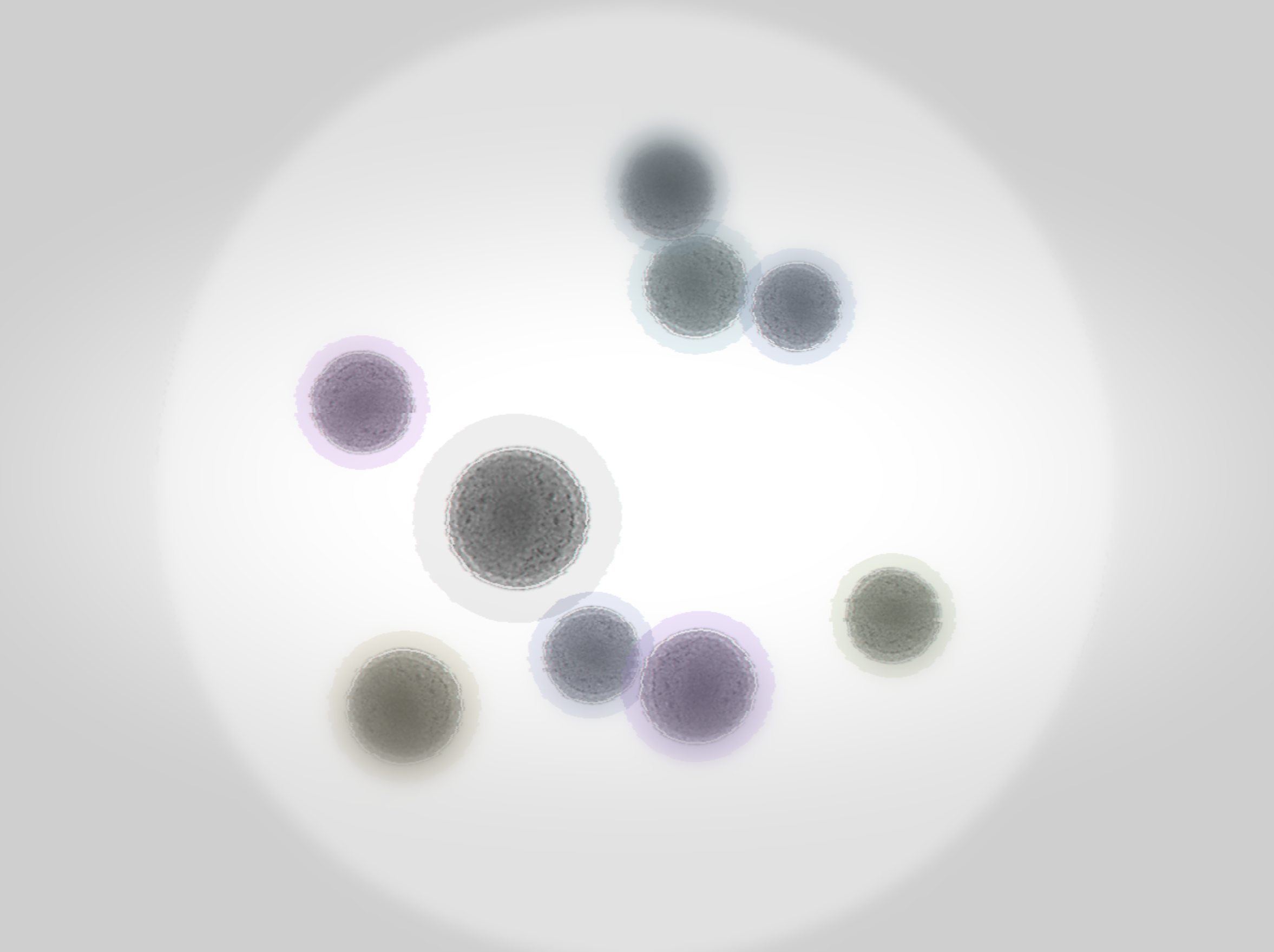 Screenshot 2024-04-26 at 15.33.59