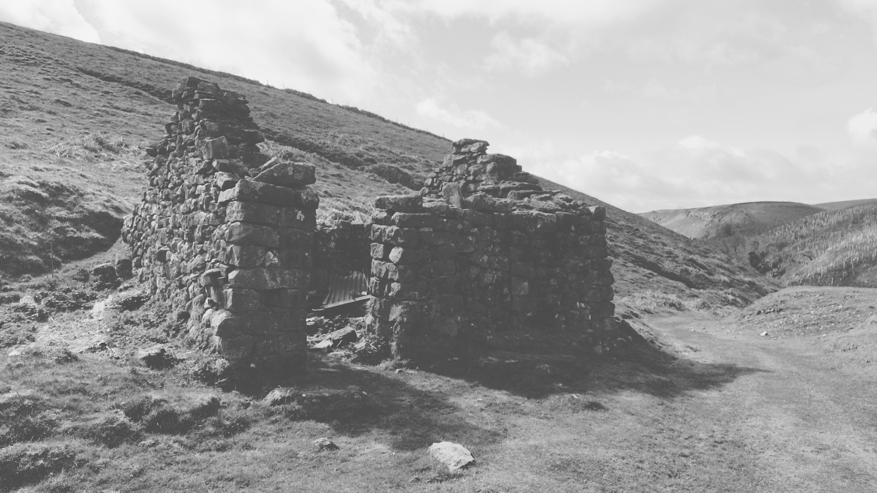 20240415_trollers_gill_002