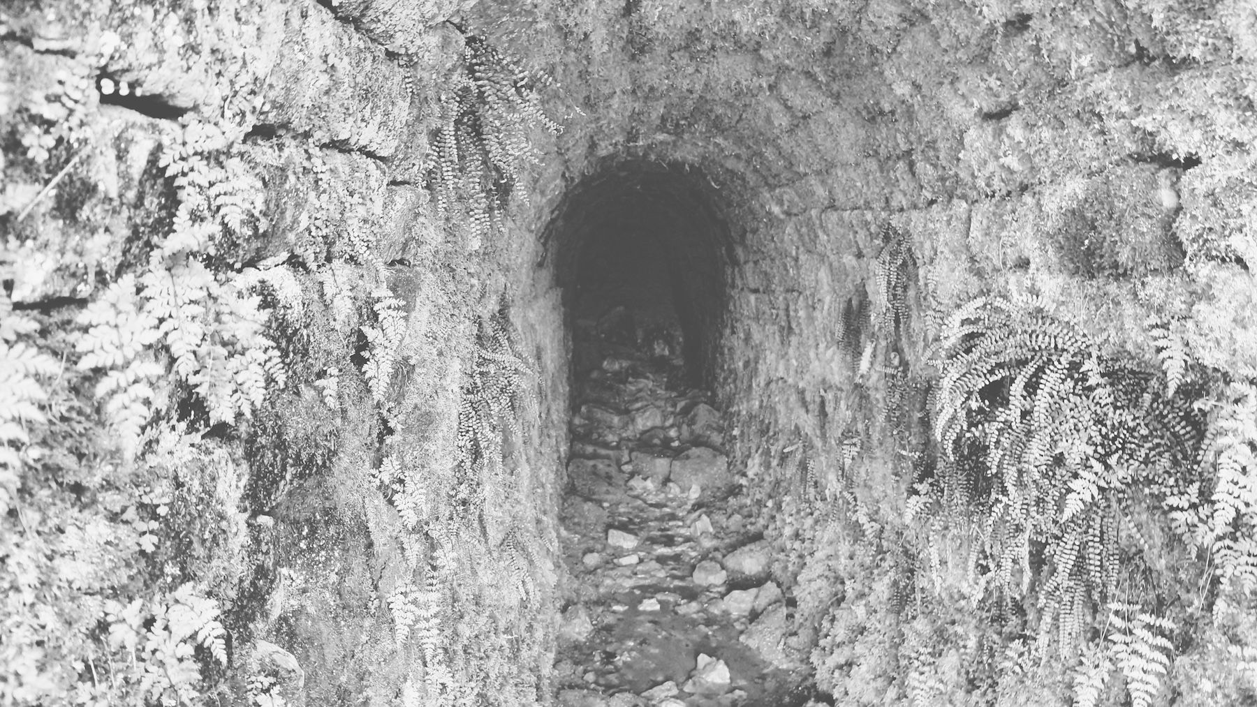 20240415_trollers_gill_004