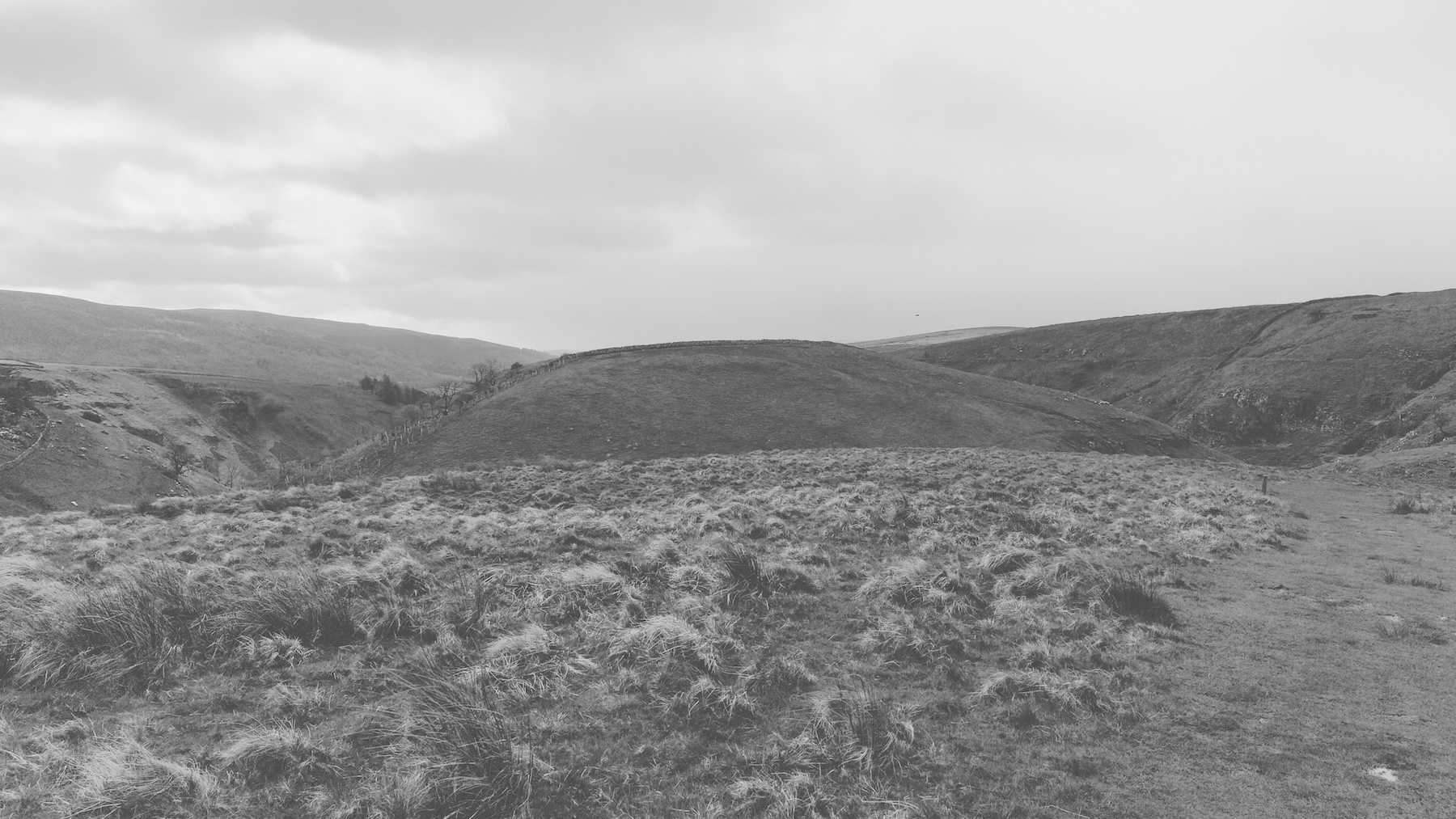 20240415_trollers_gill_005
