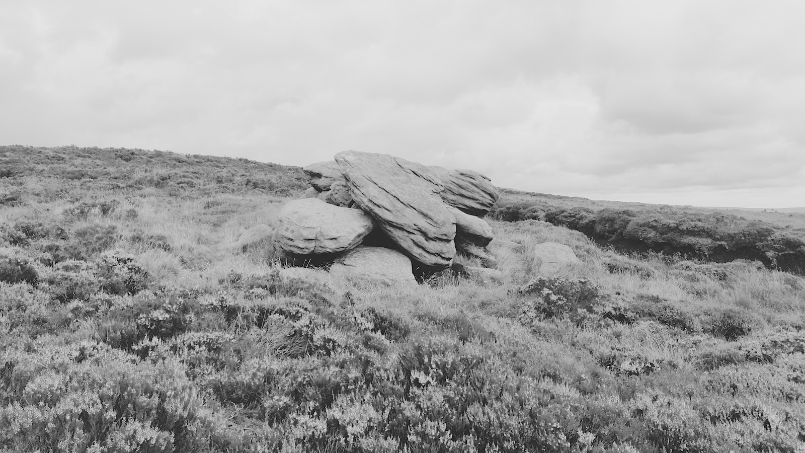 20240807_pudsey_road_to_wolf_stones_001