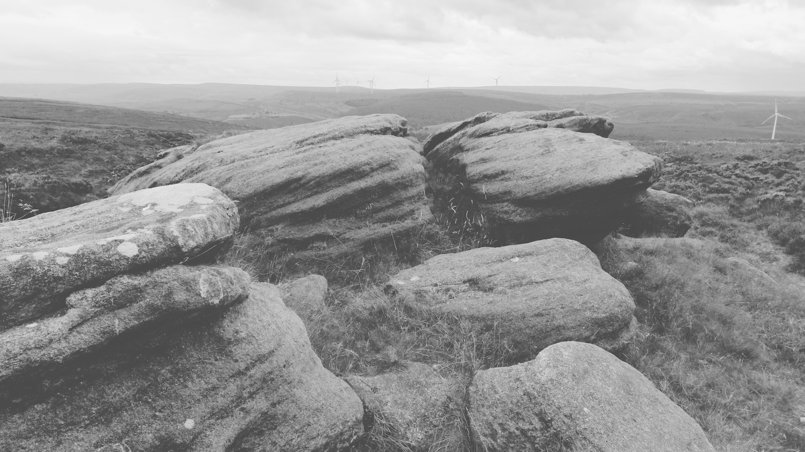 20240807_pudsey_road_to_wolf_stones_002