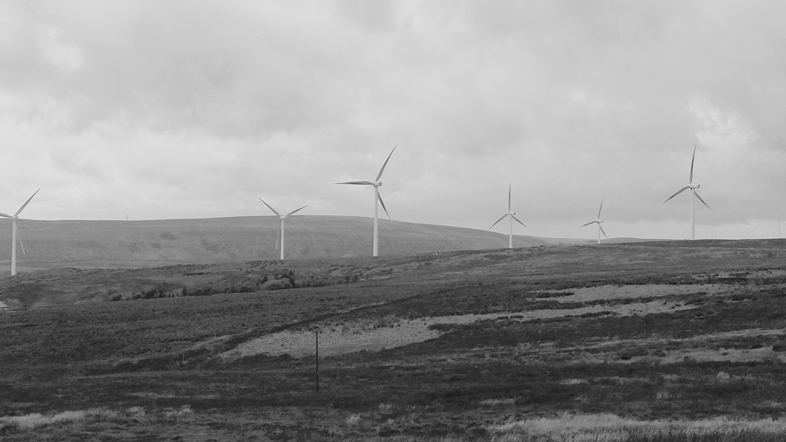 20240807_pudsey_road_to_wolf_stones_003