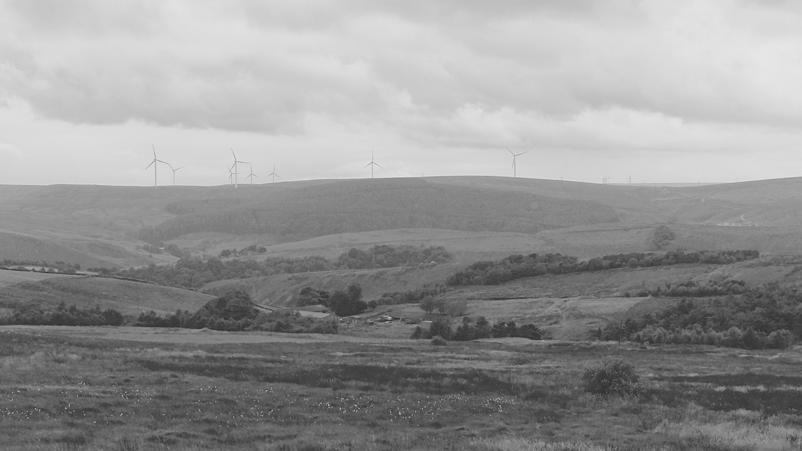 20240807_pudsey_road_to_wolf_stones_004