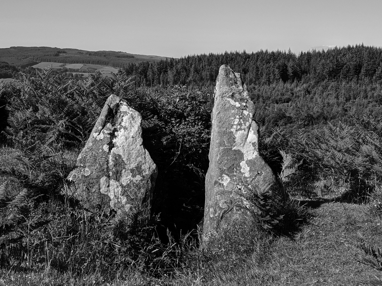 meallachs_grave_1