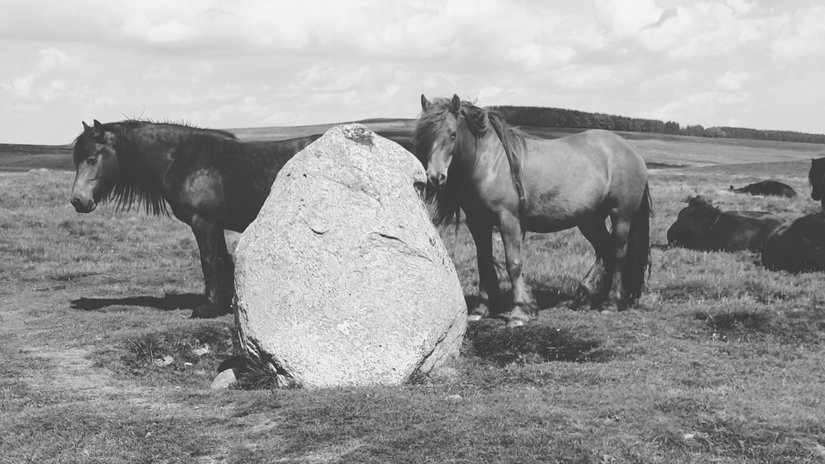 20240525_cop_stone_ponies_lento_orl_mono_standard_a142_1716631573