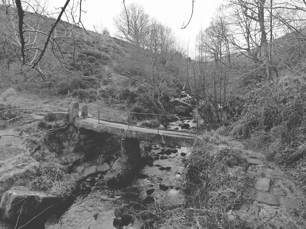 20240114_jack_bridge_lento_orl_mono_standard_alt_asus_ai2302_1705238585