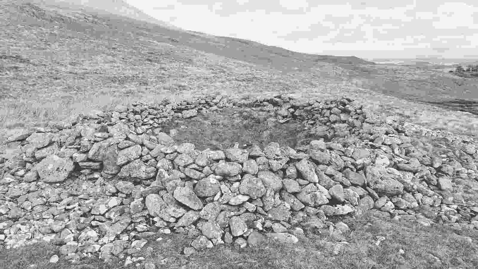 20220409_four_stones_hill_enclosure