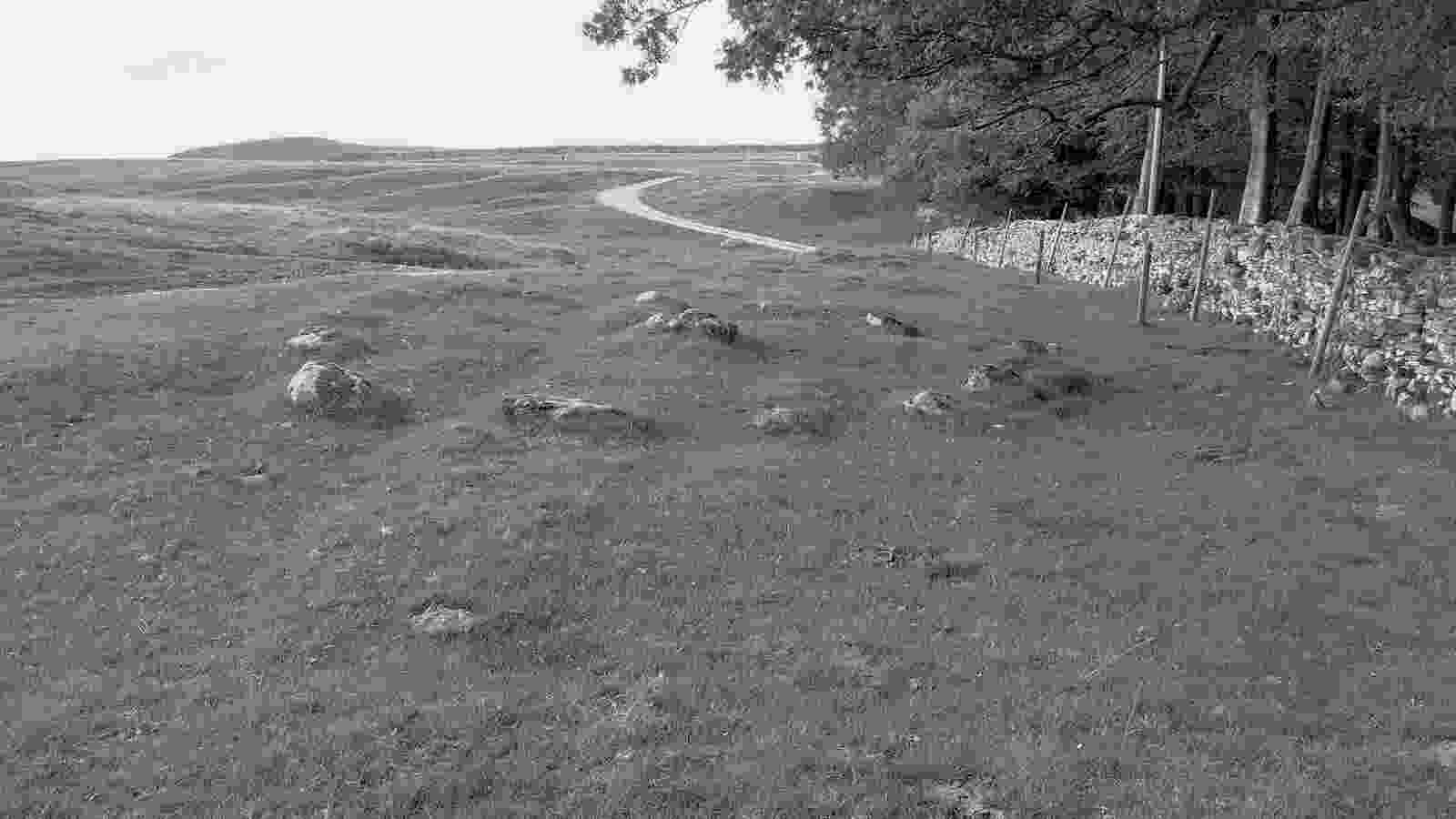 20220825_kalmott_cairn_circle1