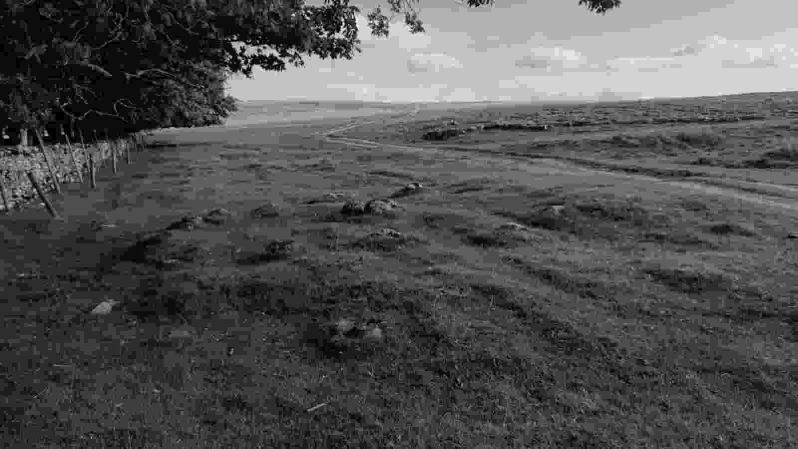 20220825_kalmott_cairn_circle3