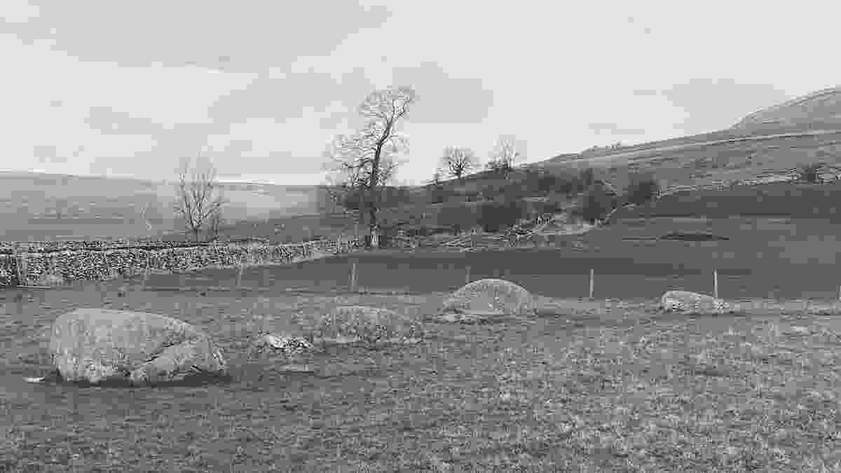 20240330_gamelands_stone_circle_lento_orl_mono_standard_a142_1711800051