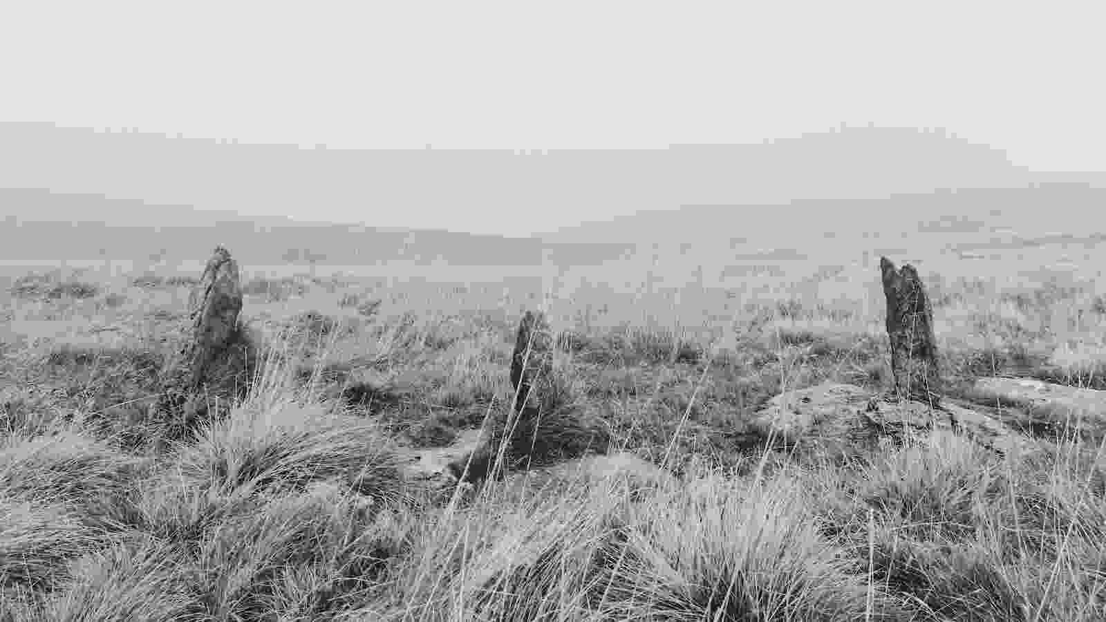 20241029_swarth_fell_stone_cricle_001