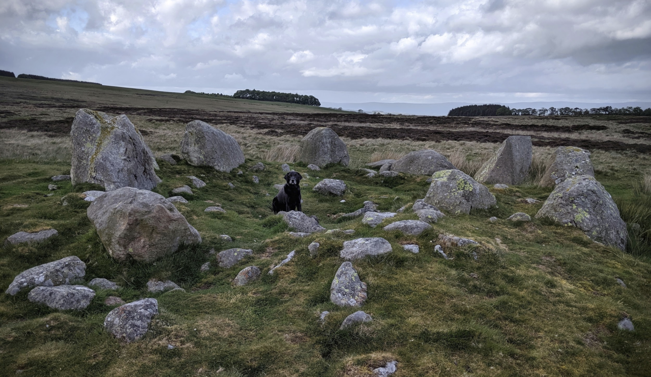 cairn_circle_1