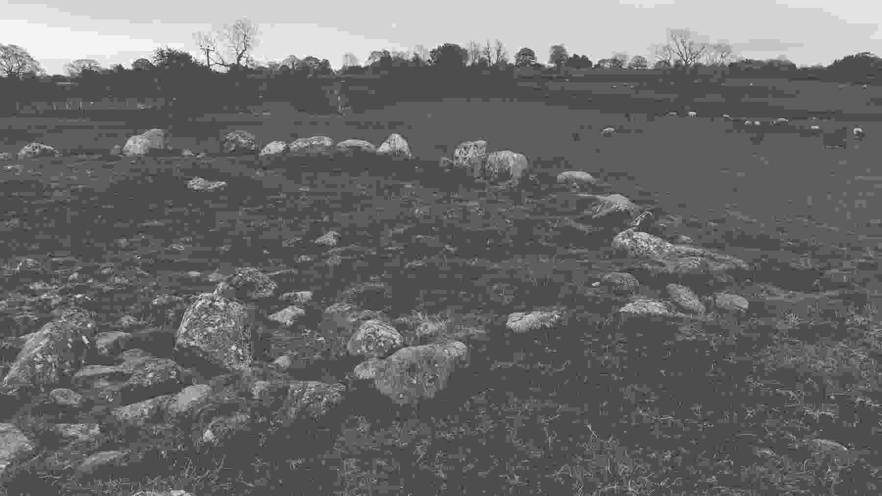 glassonby_stone_circle_002
