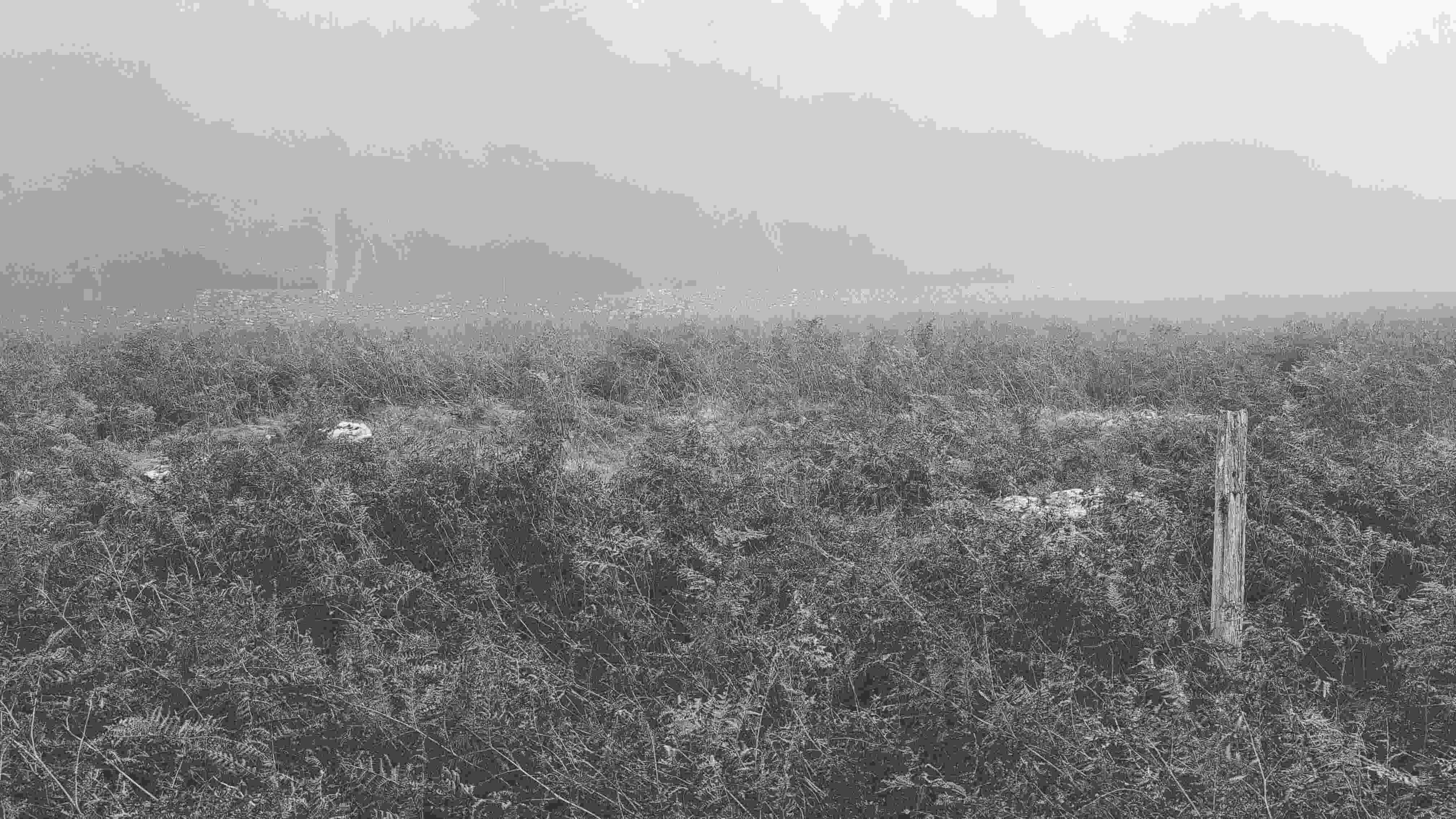 a post marks the center of the circle