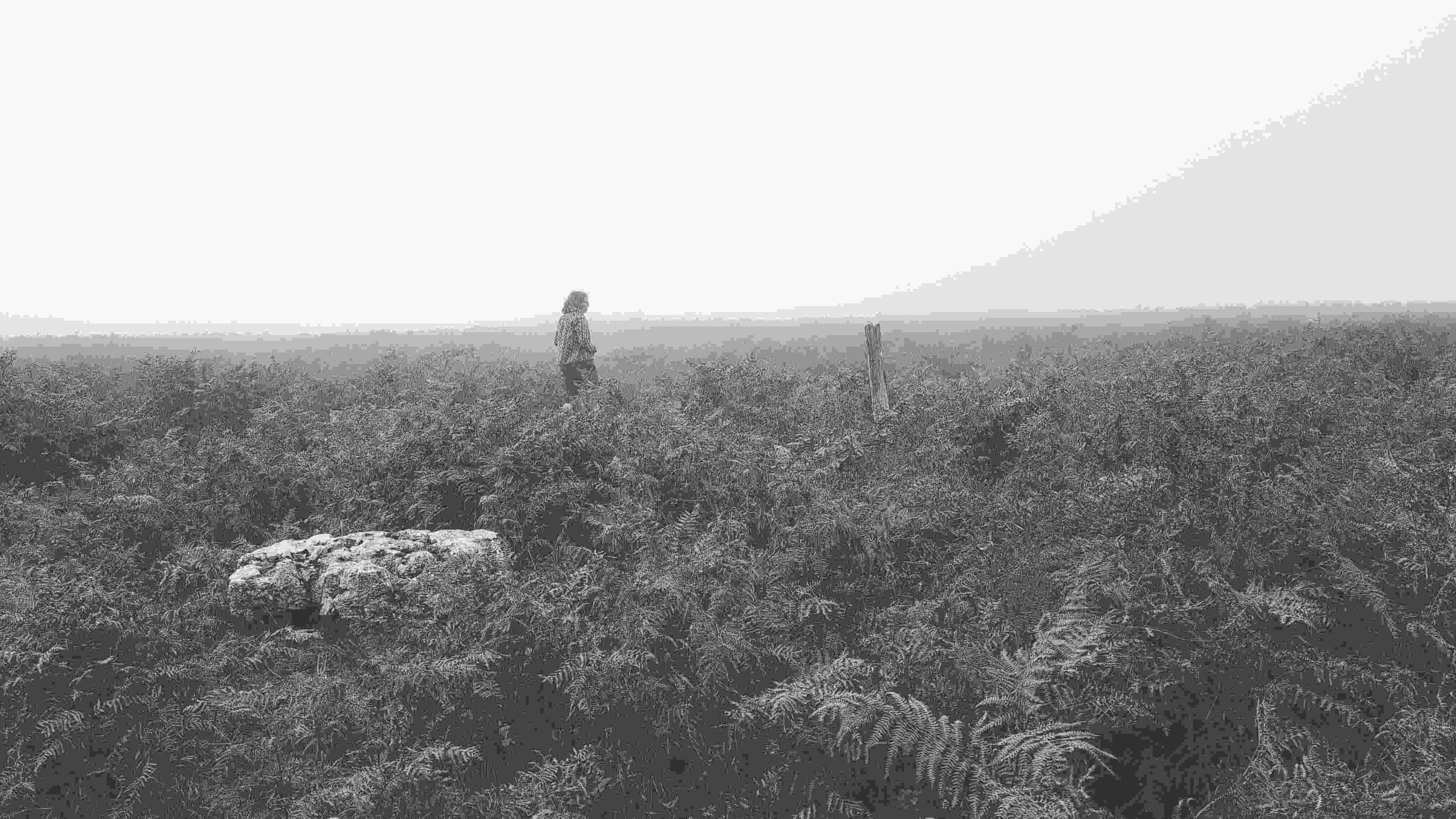 S, bemusic, trying to make out a circle in the bracken