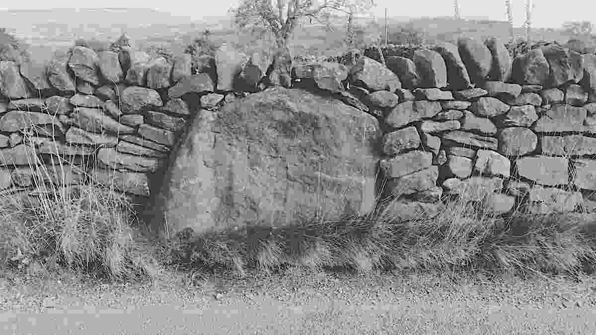 20240928_lark_hill_002