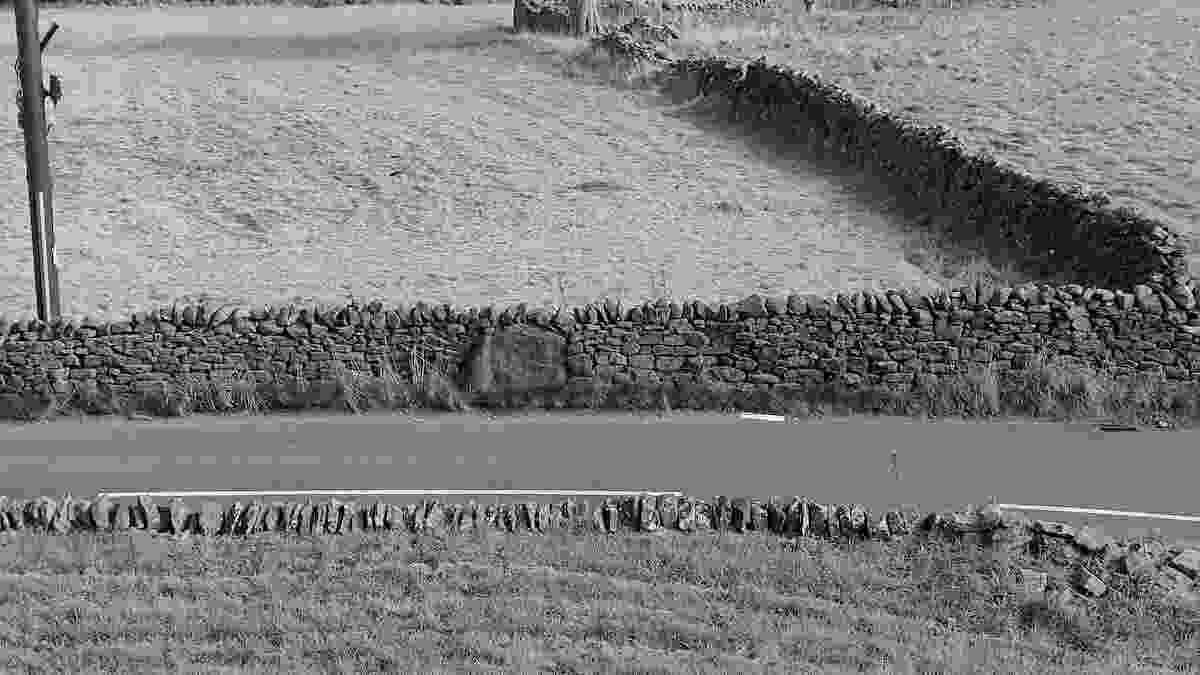 20240928_lark_hill_003