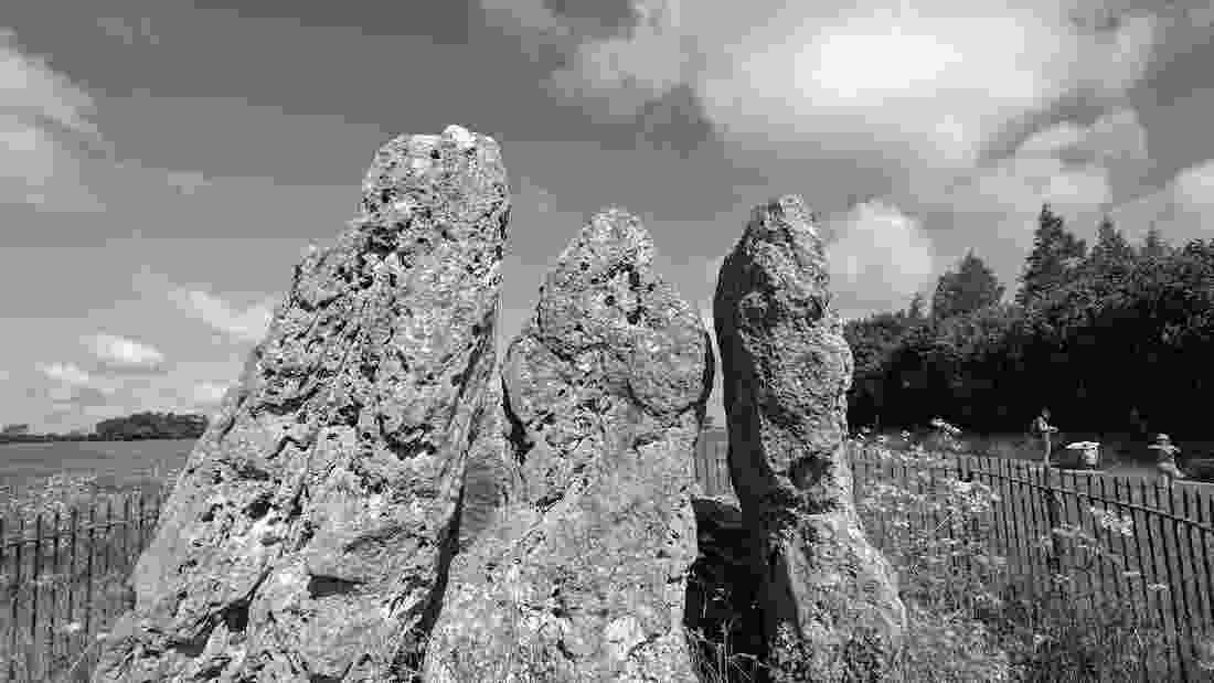whispering_knights_1