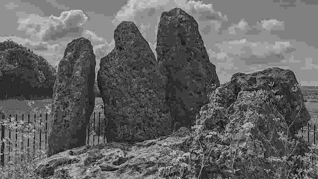 whispering_knights_2