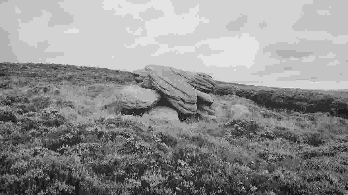 20240807_wolf_stones_IMG_20240807_202745_313