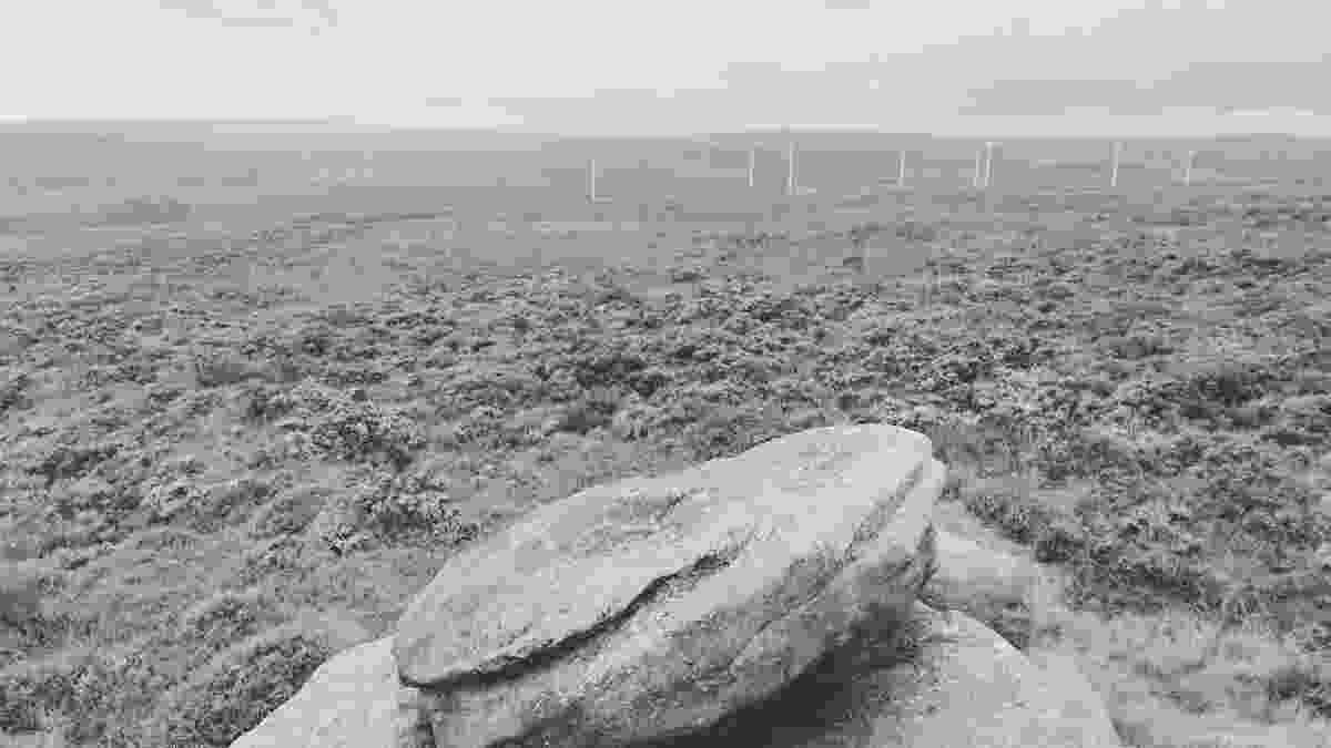 20240807_wolf_stones_lento_orl_mono_standard_a015_1723034736